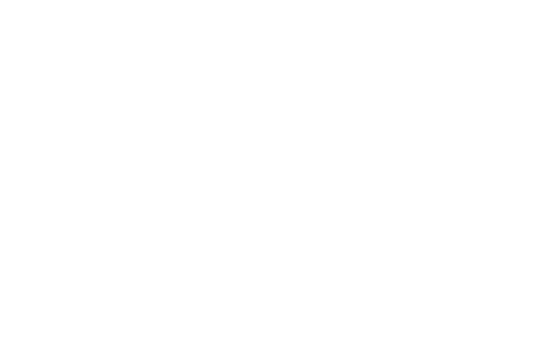 City of St. Petersburg